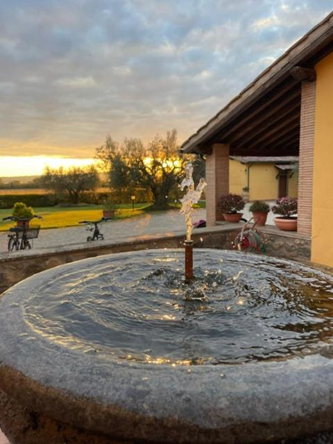 Agriturismo Arlena Bolsena Exterior photo
